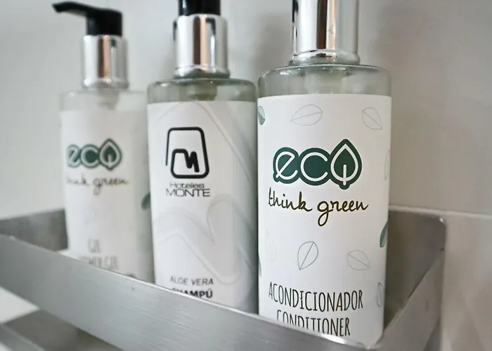 Hotel Monte Carmelo Sevilla